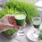 Miracles of Wheatgrass