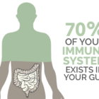 Your Immune System and Your Gut